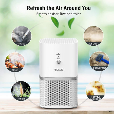 , Small Air Purifiers with True HEPA Filter.