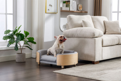 Scandinavian style Elevated  Pet Sofa With Solid Wood legs, Velvet Cushion,Mid Size Light Grey