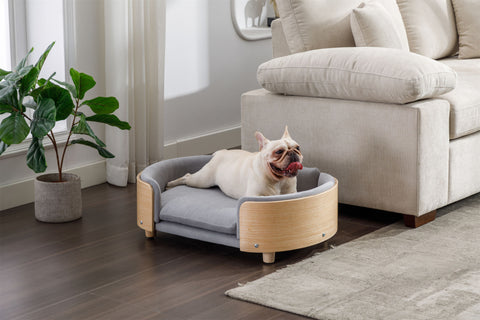 Scandinavian style Elevated  Pet Sofa With Solid Wood legs, Velvet Cushion,Mid Size Light Grey