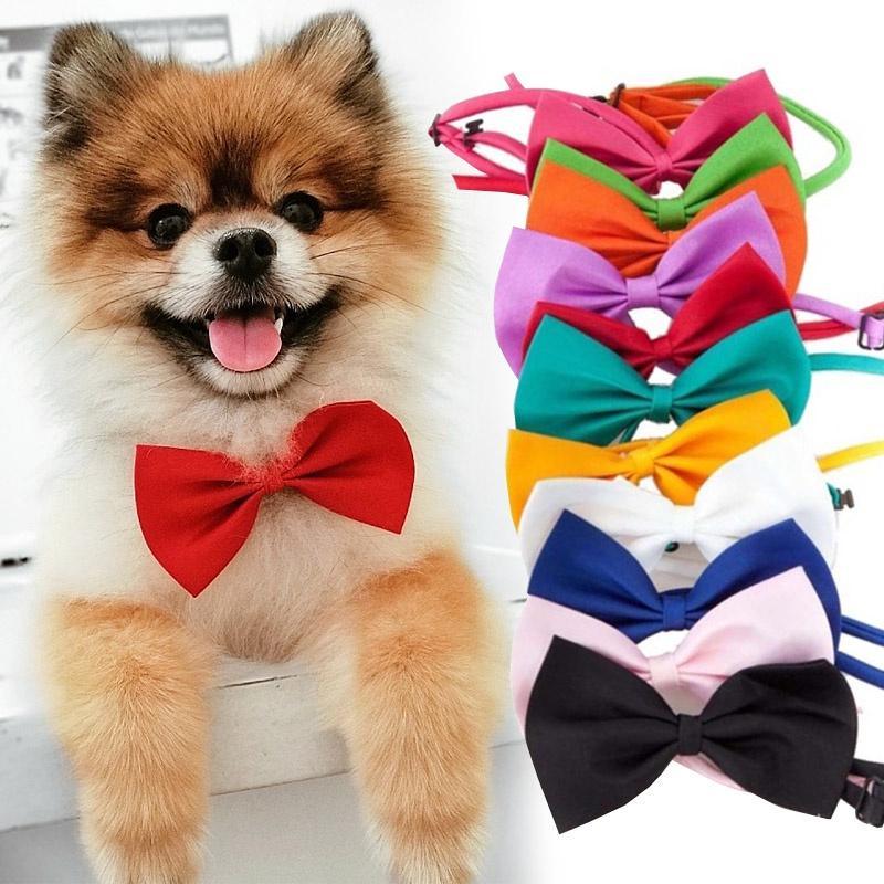 Adjustable Strap Pet Bow Tie Collar. Cat Collar.