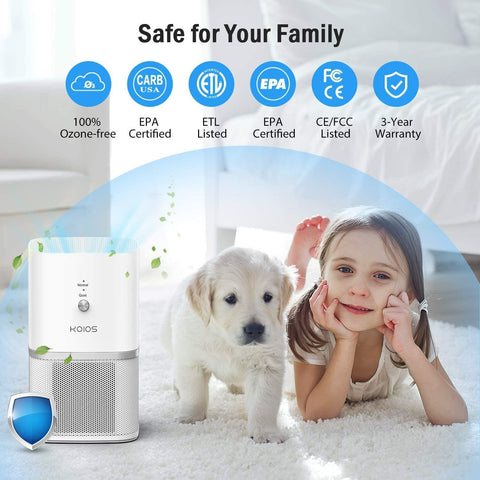 , Small Air Purifiers with True HEPA Filter.