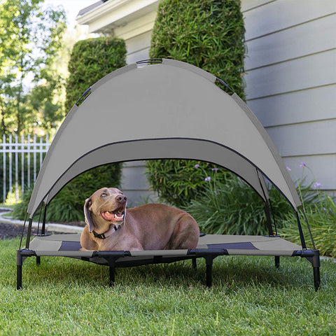 Elevated Outdoor Dog Bed with Sun Canopy.