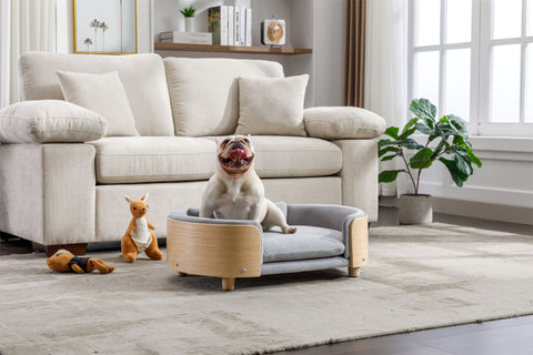 Scandinavian style Elevated  Pet Sofa With Solid Wood legs, Velvet Cushion,Mid Size Light Grey