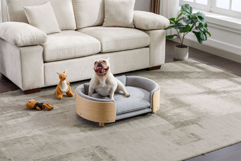 Scandinavian style Elevated  Pet Sofa With Solid Wood legs, Velvet Cushion,Mid Size Light Grey