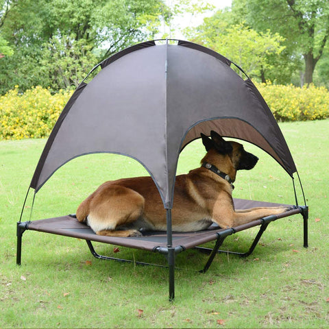 Elevated Outdoor Dog Bed with Sun Canopy.