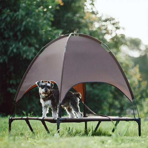 Elevated Outdoor Dog Bed with Sun Canopy.